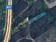 Excelente Terreno em zona de pinhal e eucaliptal