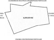 EXCELENTE TERRENO EN AV. MORELOS CUERNAVACA, MORELOS EXCELENTE TERRENO EN AV. MORELOS CUERNAVACA, MORELOS