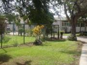 EXCELENTE TERRENO EN CHIRIICHIGNO PIURA