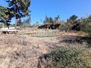 Excelente terreno en Los Pinos