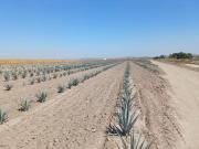 EXCELENTE TERRENO EN VENTA ATRAS DEL AEROPUERTO