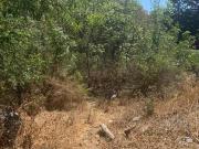 Excelente Terreno en Venta Club de Golf Chiluca, con...