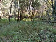 EXCELENTE TERRENO EN VENTA EN ESPIRITU SANTO ATIZAPAN