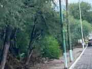 Excelente terreno en venta plano