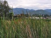 EXCELENTE TERRENO EN VENTA TOLCAYUCA, HIDALGO