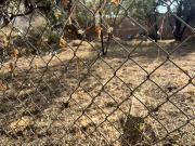 Excelente Terreno Habitacional