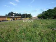 Excelente terreno na BR 158