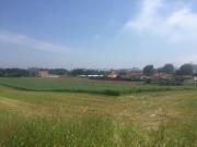 Excelente terreno para construção Árvore