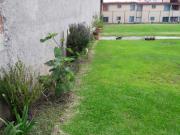 EXCELENTE TERRENO PARA DESARROLLAR