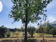 Excelente Terreno Puerto Roldan 878 m2. Escriturado