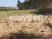 Excelente Terreno Rústico no Lugar da Formiga com 4120m2