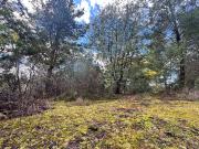 Excelente Ubicación Molco 2da Faja