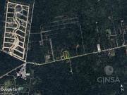 EXCELENTES LOTES DE TERRENO DE GRAN TAMAÑO SOBRE...