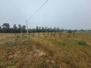 Excelentes Terrenos en venta, Santa Adela