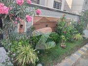Elegance Fully Furnished House 240 Sq Yards