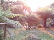 Excellent Location Wi Fi and All Utilites Included !