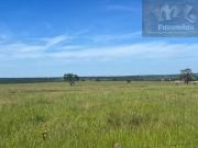 EXCEPCIONAL FAZENDA EM INOCÊNCIA – MS | Dupla Aptidão C/...