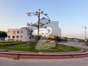 Exceptional 10 Marla Corner Plot | Premium Corner + Back...