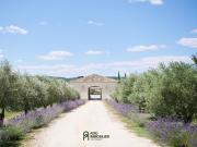 Exceptionnel domaine de 28 hectares situé en position...