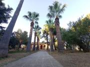 Exclusiva casa de 391 m2 en venta Chiclana de la...