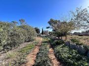 Exclusiva casa de campo en venta Algaida, Baleares