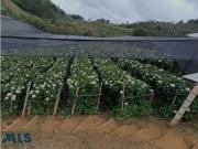 Exclusiva casa de campo en venta El Bagre, Departamento...