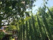 Exclusiva casa de campo en venta Envigado, Colombia