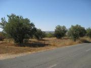 Exclusiva casa de campo en venta Lucena, Andalucía