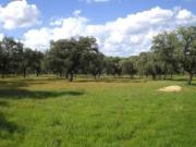 Exclusiva casa de campo en venta Peñarroya Pueblonuevo,...