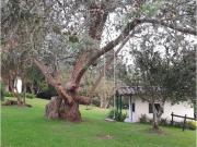 Exclusiva casa de campo en venta Rionegro, Departamento...