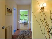 Exclusiva casa en Alella Park con piscina y vistas...