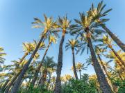 Exclusiva casa en venta Elche, Comunidad Valenciana