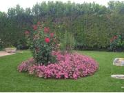 ¡Exclusiva oportunidad! Impresionante chalet...