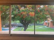 EXCLUSIVA PROPIEDAD CON BUNGALOWS, ALBERCA Y CANCHA DE...