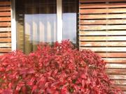 Exclusiva Quinta com Moradia Térrea Isolada T4 de Luxo |...