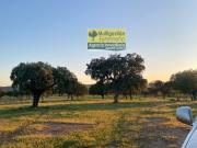 Exclusiva Villa en venta Cáceres, España Exclusiva Villa en venta Cáceres, España