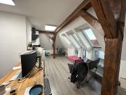 Exclusive 1 room attic apartment with fitness and office...