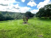 Exclusive 7.5 Ha Mango Farm with Views Baguio District,...