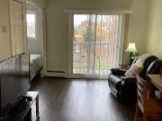 Exclusive And Stylish Fully Self contained Bachelor Suite!