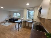 Exclusive Lichtdurchflutete 2 Zimmer Wohnung in Nürnberg...