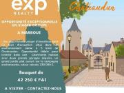 EXCLUSIVITÉ Maison en Viager Occupé à Marboué 28200