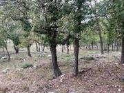 Exclusivité Roquefort les pins Terrain inconstructible