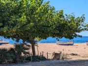 Exclusivo apartamento en primera línea de mar con vistas...