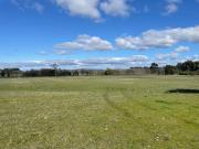 Exclusivo ¡ Campo Agricola 13,7 Hà Orilla Carretera Sector