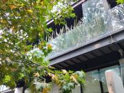 Exclusivo Departamento en Renta en Polanco, Miguel Hidalgo!