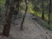 EXCLUSIVO DEPARTAMENTO TRES CUMBRES SANTA FE