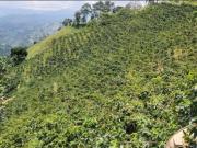 Exclusivo hotel en venta Manizales, Colombia