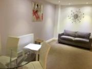 executive 1 bed ground fl apt fully furn and utility...