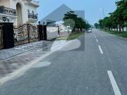 Executive block 5 marla investor rate plot available