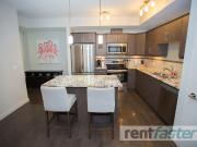 EXECUTIVE FULLY FURNISHED LUXURY CONDO DOWNTOWN/OLIVER